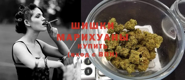молекула духа Заволжье