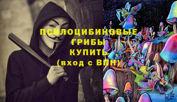 apvp Беломорск