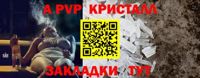 стаф Канаш
