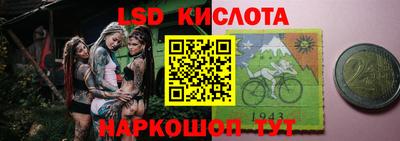 2c-b Кингисепп