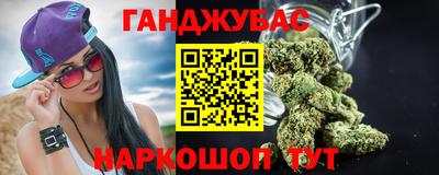 2c-b Кингисепп