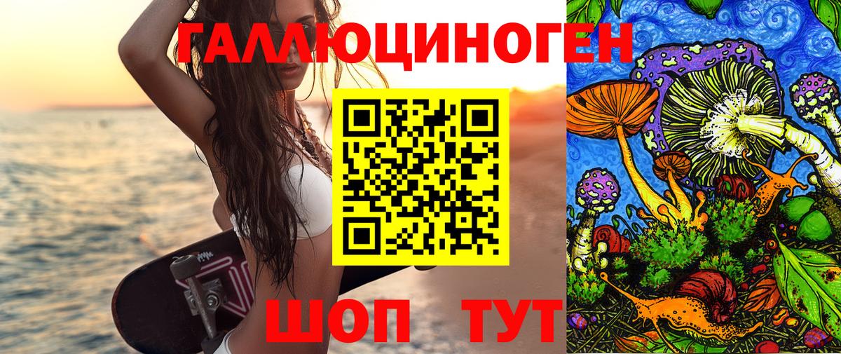 Псилоцибиновые грибы Cubensis Кыштым