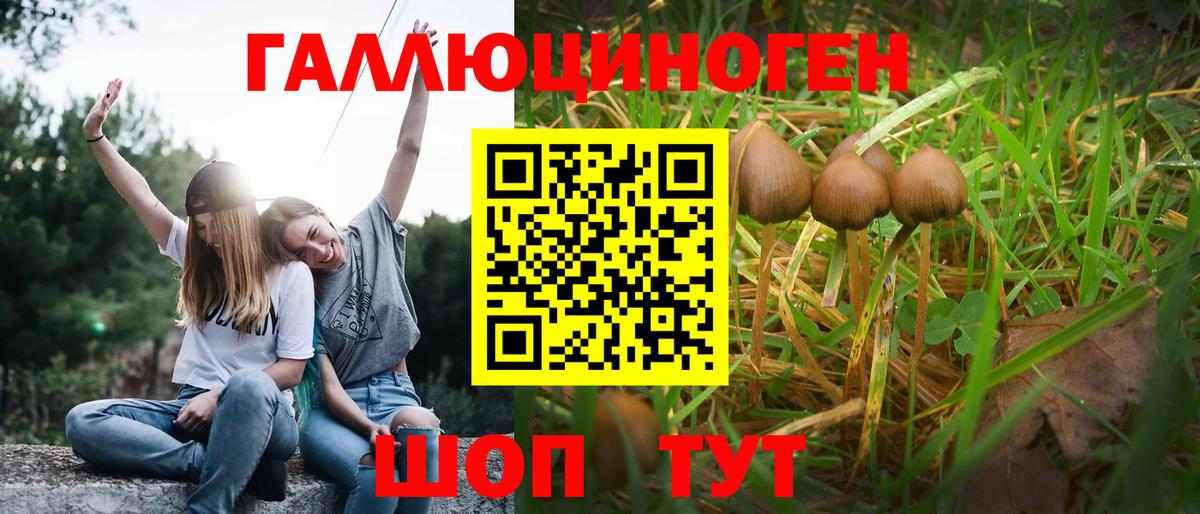 Псилоцибиновые грибы прущие грибы  Псилоцибиновые грибы GOLDEN TEACHER  Вход с VPN  Кыштым 